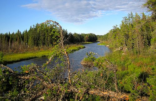 Mistik Creek